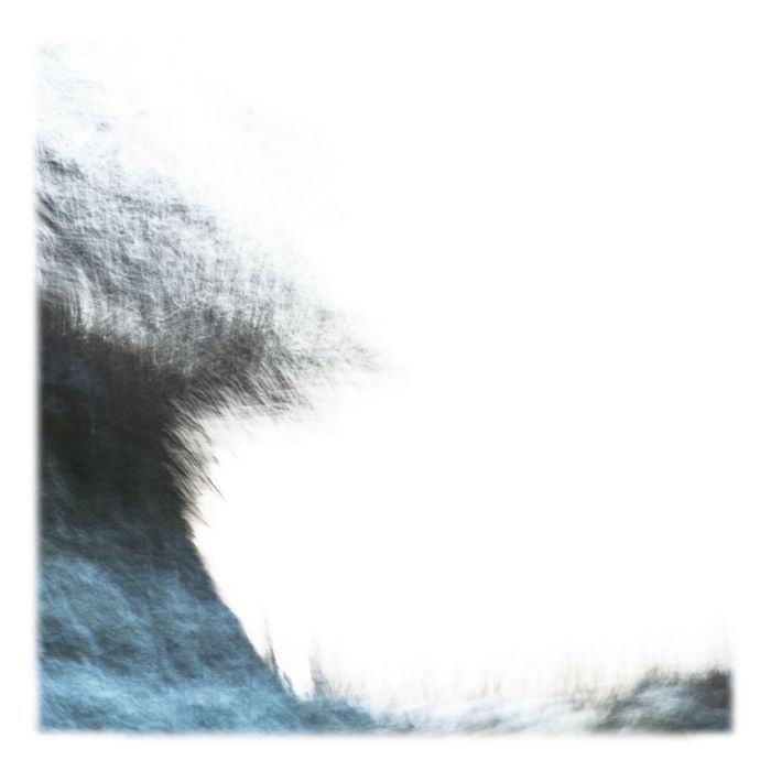 Bewegtes Land - Reispapier